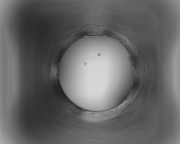 X0000102470045200808151438