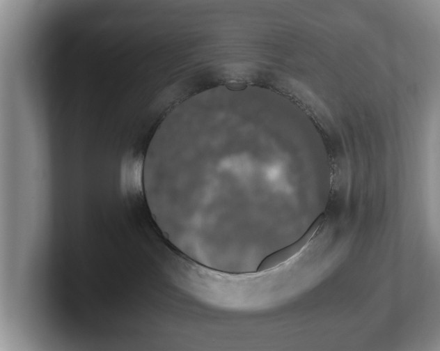 X0000102470047200808151438