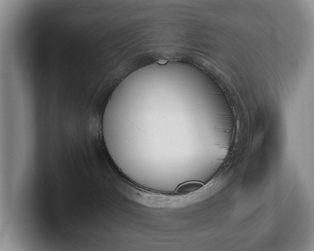 X0000102470048200808151438