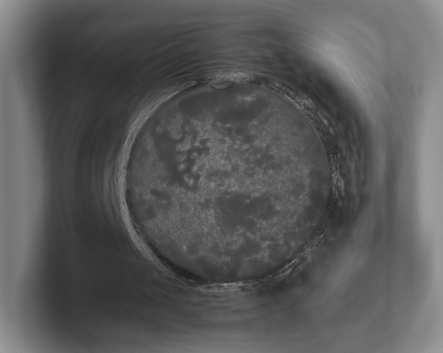 X0000102470049200808151437