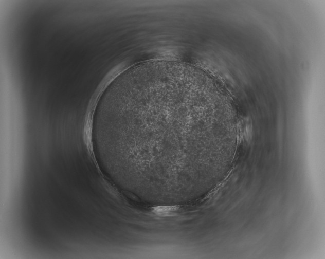X0000102470051200808151437