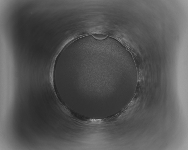 X0000102470052200808151437