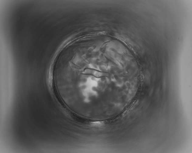 X0000102470053200808151437