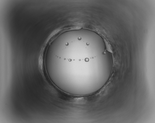 X0000102470054200808151437