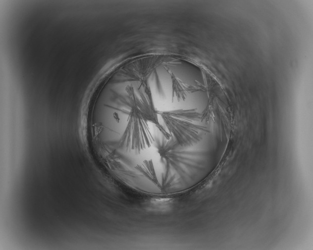 X0000102470055200808151437