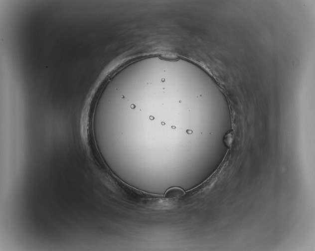 X0000102470056200808151437