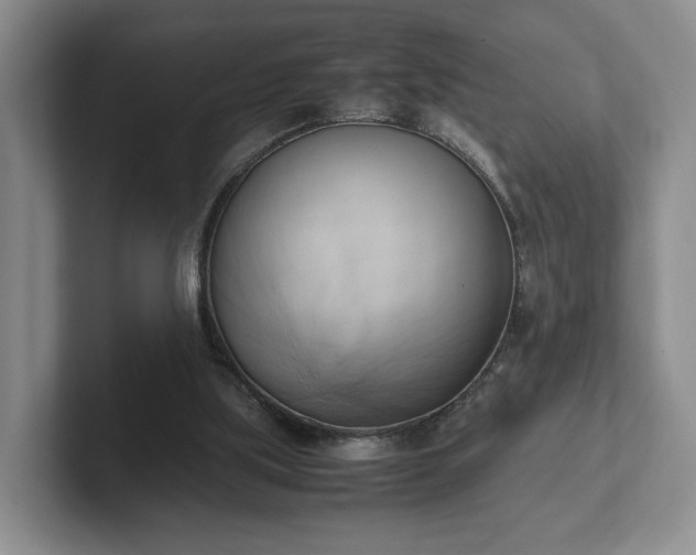 X0000102470059200808151437