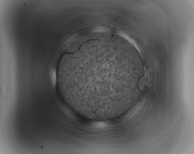 X0000102470061200808151437