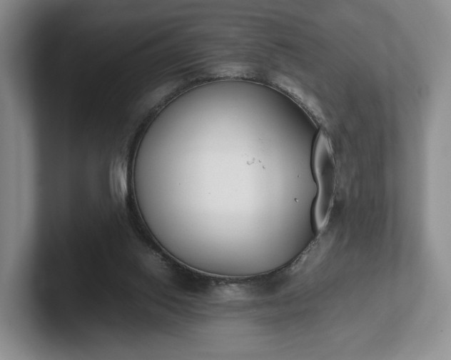 X0000102470062200808151437