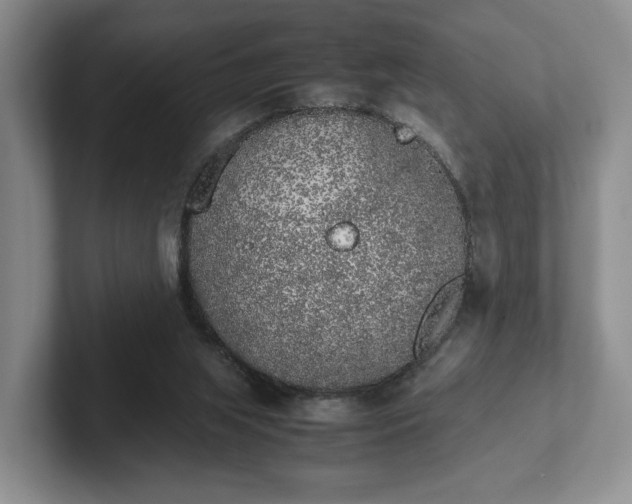 X0000102470063200808151437