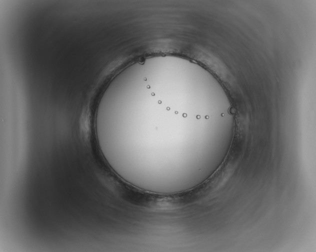 X0000102470064200808151437