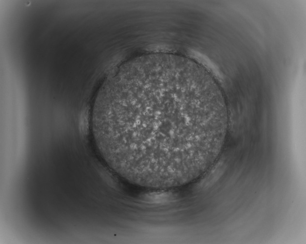 X0000102470065200808151437