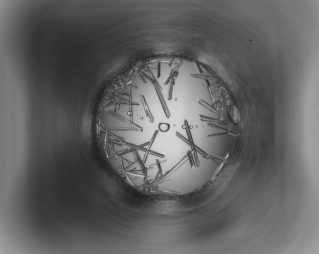 X0000102470066200808151437
