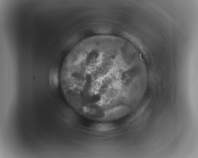X0000102470069200808151437