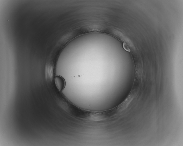 X0000102470070200808151437