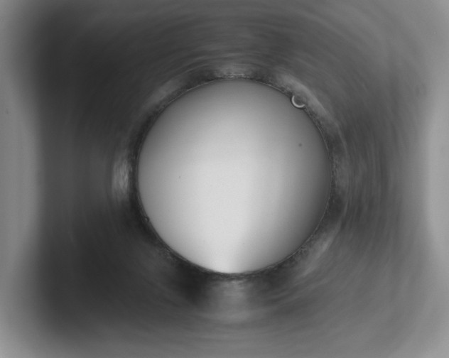 X0000102470071200808151437