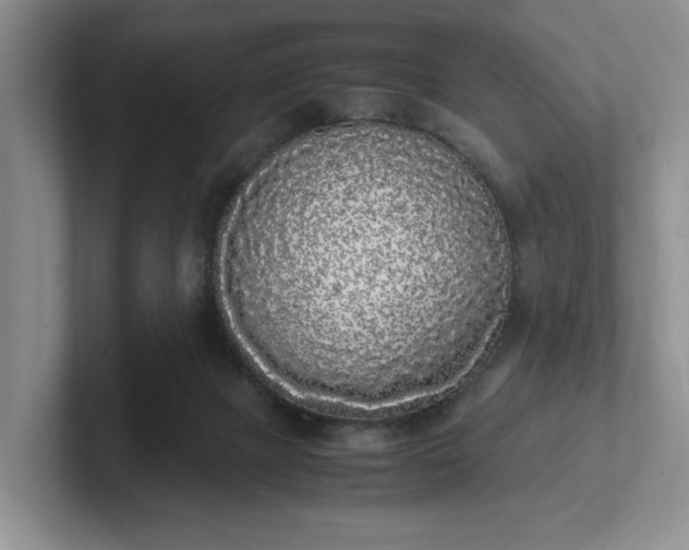 X0000102470073200808151437