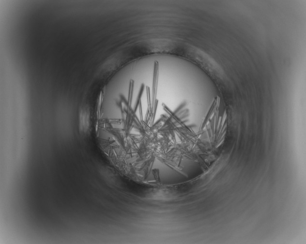 X0000102470074200808151437