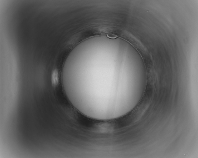 X0000102470075200808151437