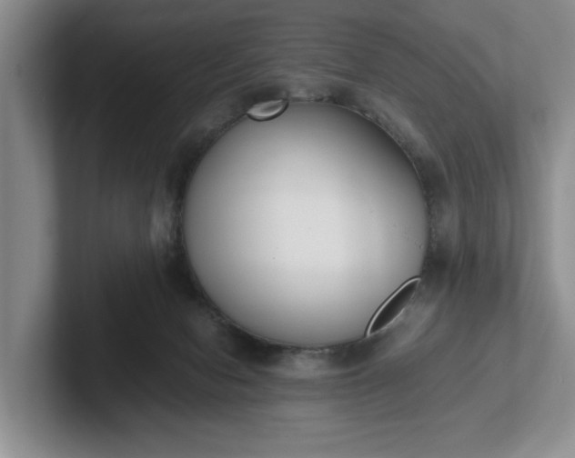 X0000102470078200808151437