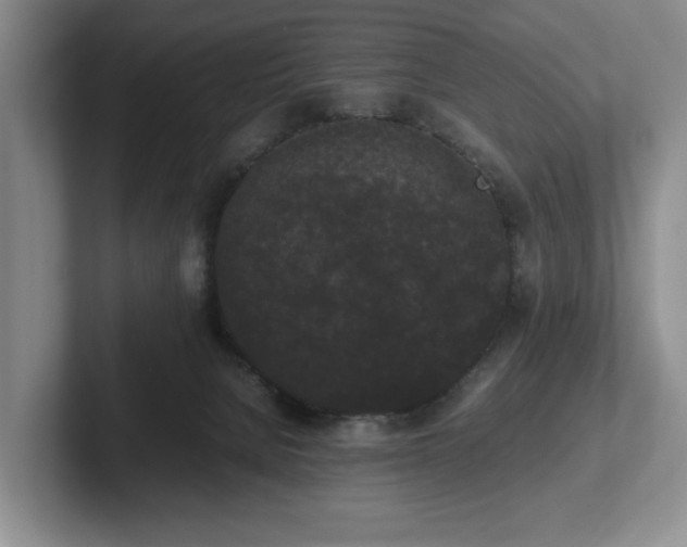 X0000102470080200808151437