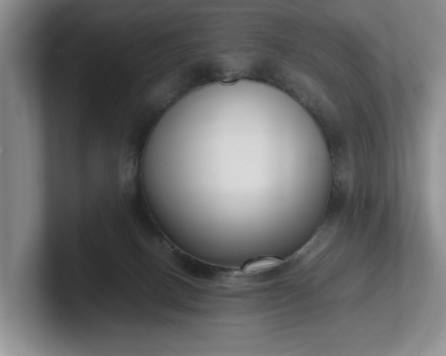 X0000102470082200808151437
