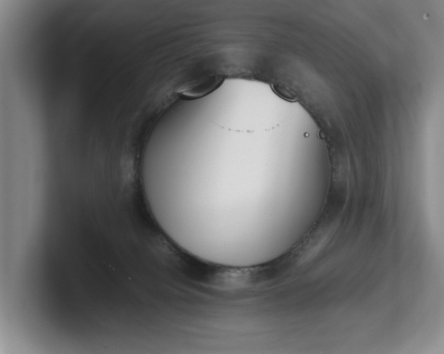 X0000102470084200808151437