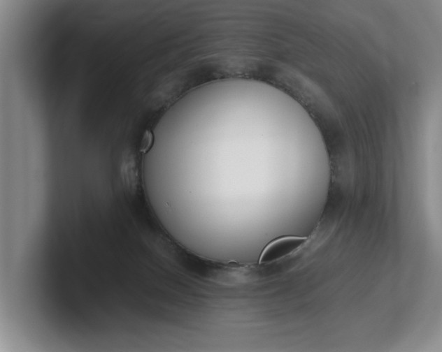 X0000102470086200808151438