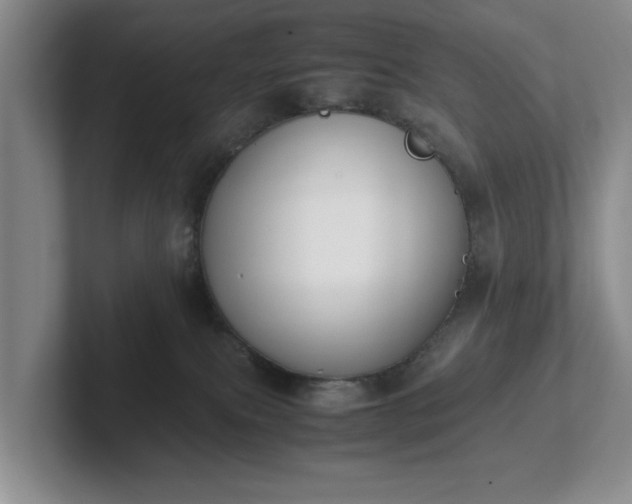 X0000102470087200808151438
