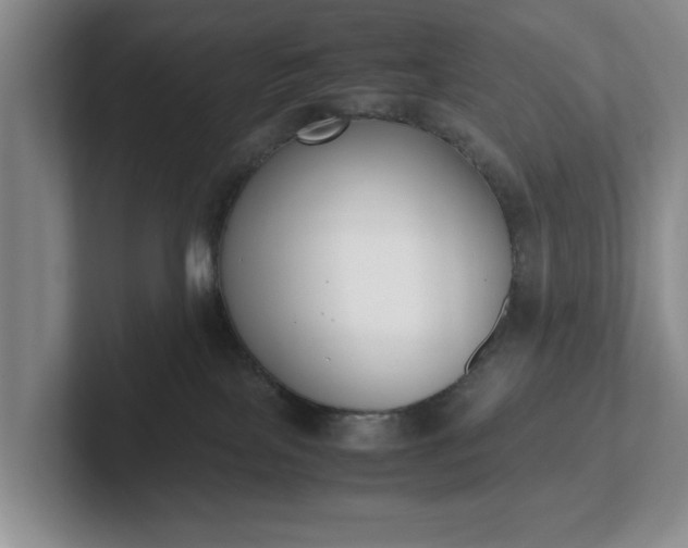 X0000102470089200808151438
