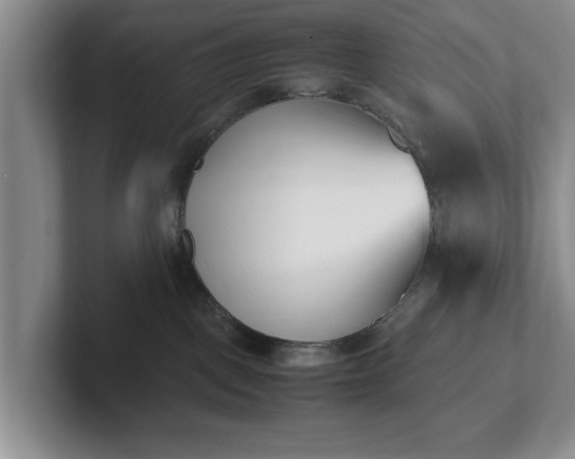 X0000102470093200808151438