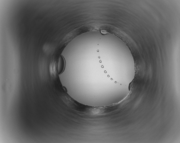X0000102470094200808151438