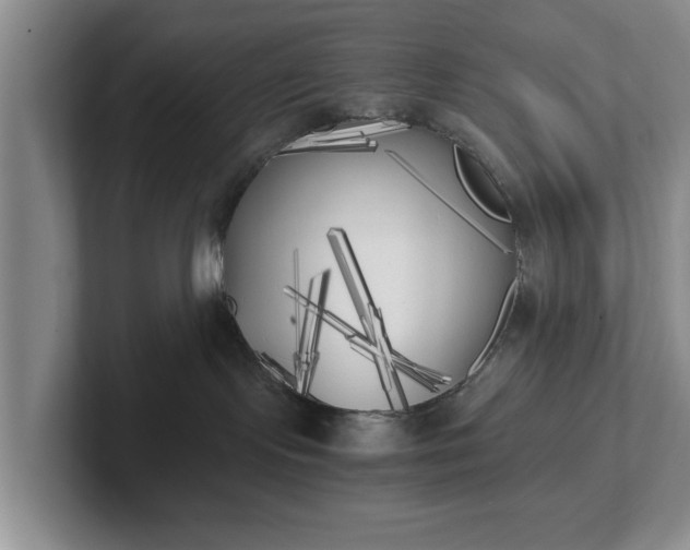 X0000102470095200808151438