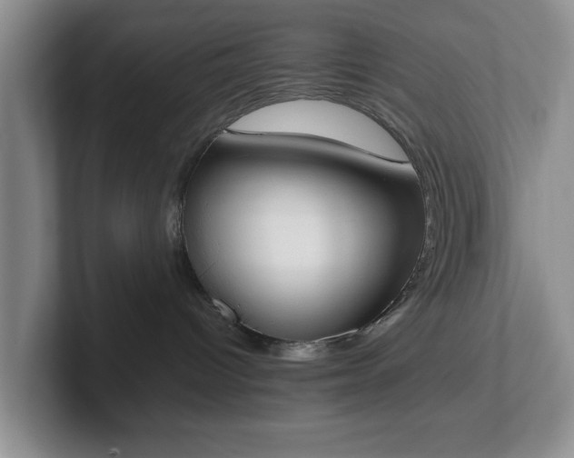 X0000102470096200808151438