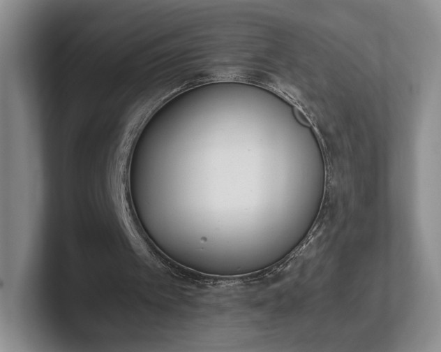 X0000102470097200808151437