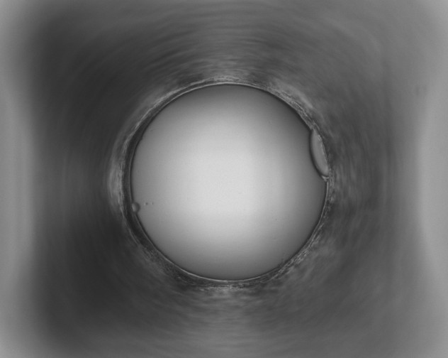 X0000102470098200808151437