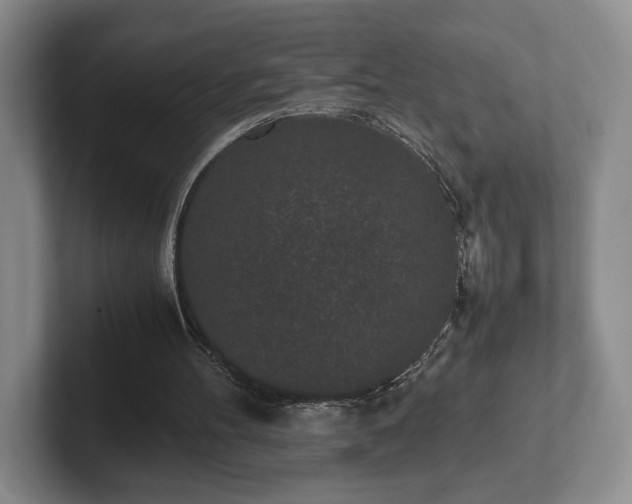 X0000102470100200808151437