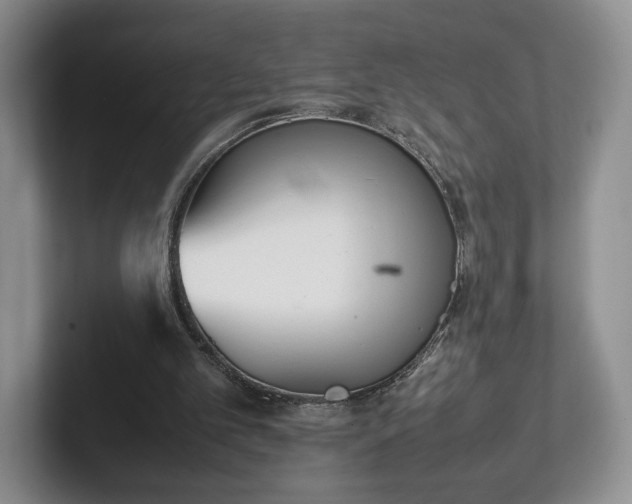X0000102470101200808151437