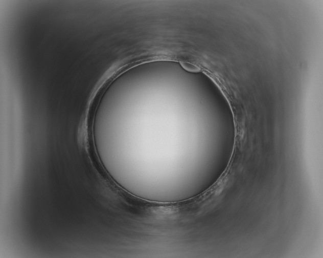 X0000102470102200808151437
