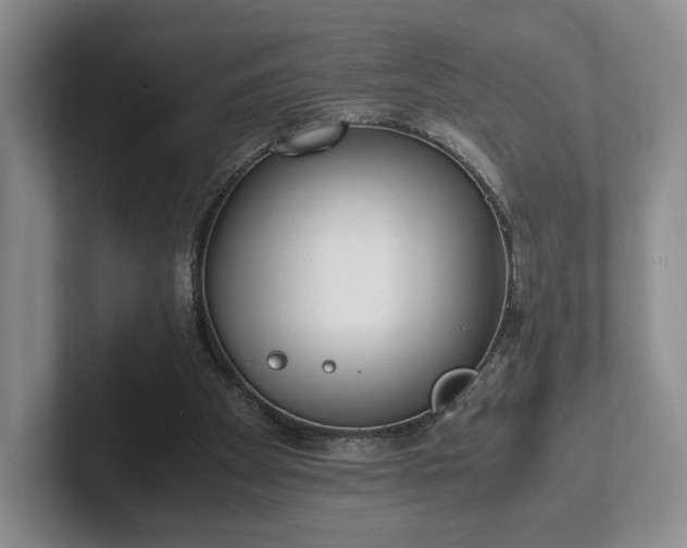 X0000102470105200808151437