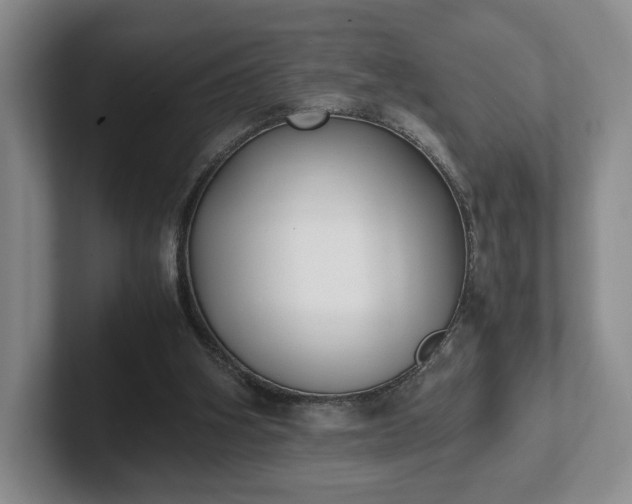 X0000102470106200808151437