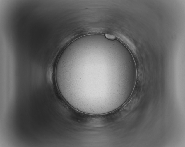 X0000102470107200808151437