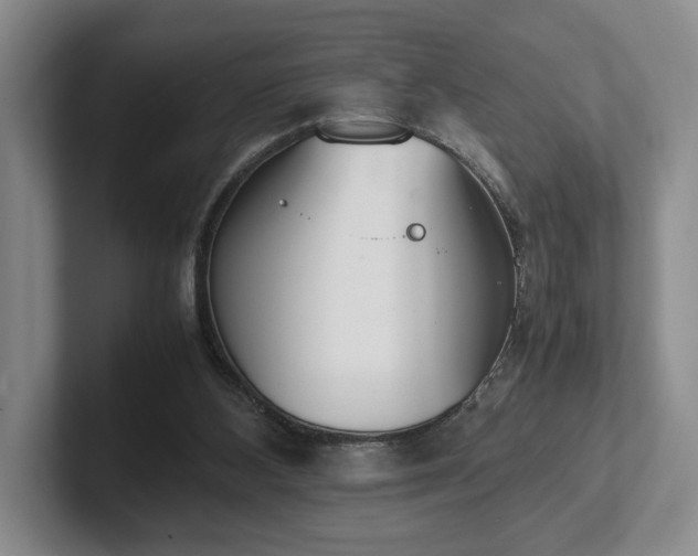 X0000102470108200808151437