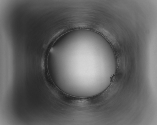 X0000102470112200808151437