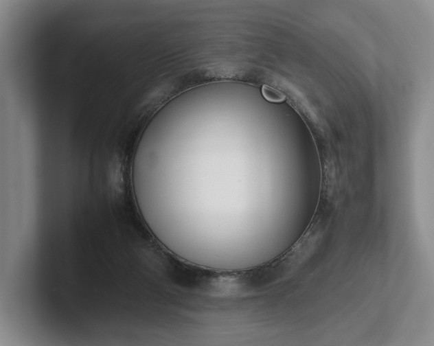 X0000102470114200808151437