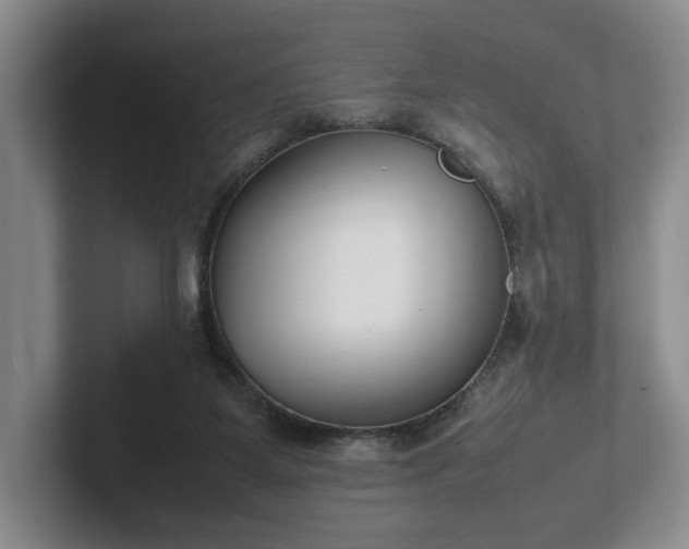 X0000102470115200808151437