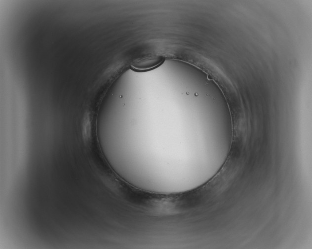 X0000102470120200808151437