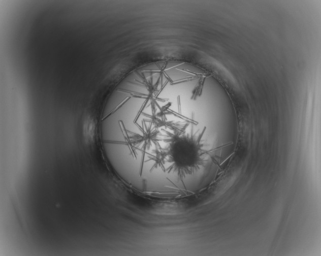 X0000102470123200808151437