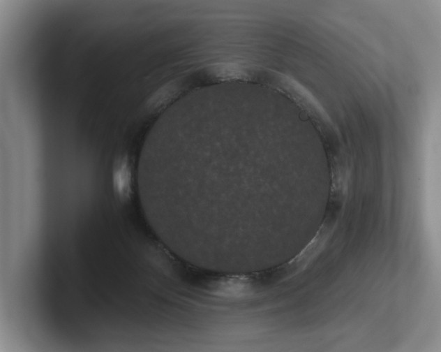 X0000102470124200808151437