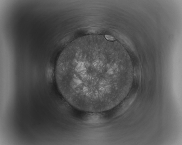 X0000102470127200808151437